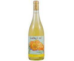 2022 Breaking Bread - Marmalade Orange Wine