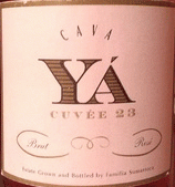 2023 Vinos Libre Ya - Cuvee 23  Reserva Cava
